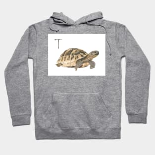 T for turtle alphabet illustration, pencil illustration from my alphabet series Hoodie